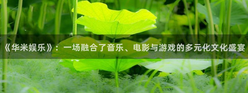摩根娱乐2平台登录：《华米娱乐》：一场融合了音乐、电影与游戏的多元化文化盛宴
