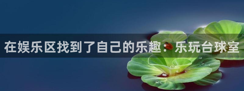 摩根娱乐加拿大下载：在娱乐区找到了自己的乐趣：乐玩台球室