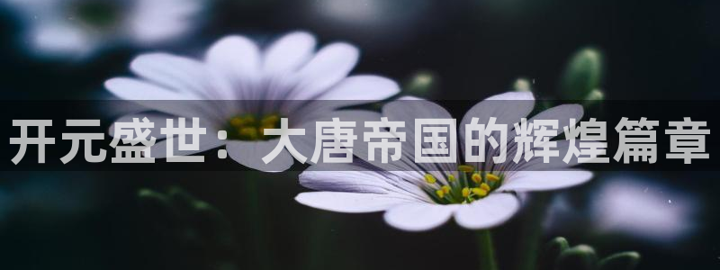 摩根娱乐怎么下载：开元盛世：大唐帝国的辉煌篇章
