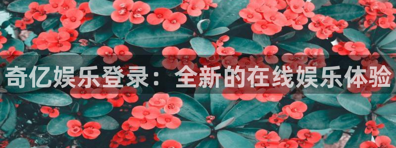 摩根娱乐股份：奇亿娱乐登录：全新的在线娱乐体验