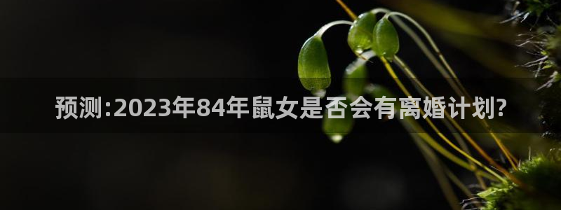 摩根娱乐.ccm苹果版：预测:2023年84年鼠女是否会有离婚计划?