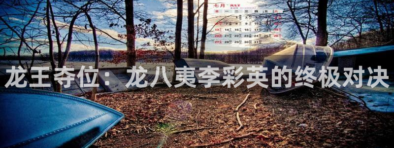 摩根娱乐游戏官网版：龙王夺位：龙八夷李彩英的终极对决