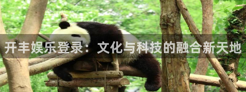 摩根娱乐那个爆率高：开丰娱乐登录：文化与科技的融合新天地