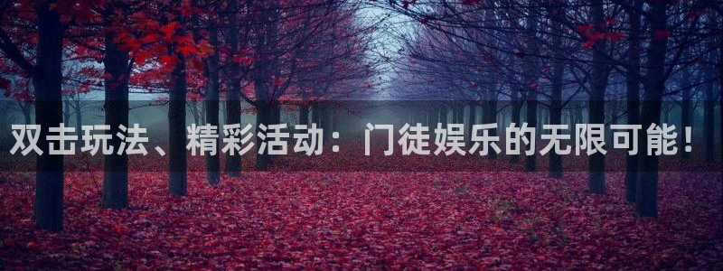 摩根娱乐官网地址：双击玩法、精彩活动：门徒娱乐的无限可能！