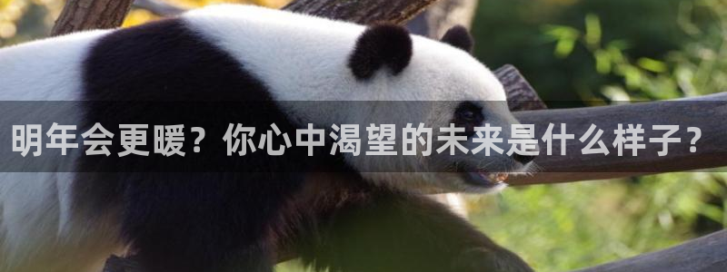 摩根娱乐平台：明年会更暖？你心中渴望的未来是什么样子？