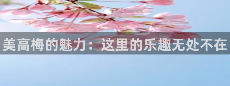 摩根娱乐手机客户端下载安装：美高梅的魅力：这里的乐趣无处不在