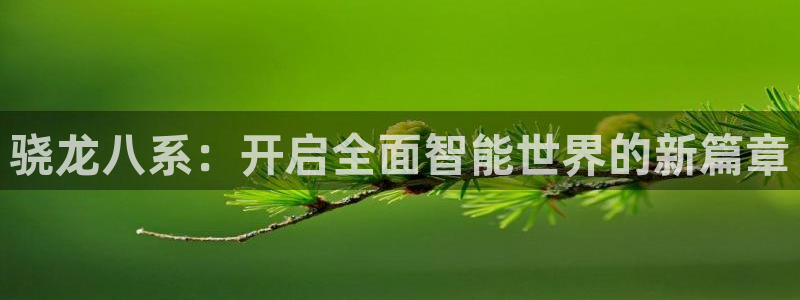 苹果版摩根娱乐下载安装：骁龙八系：开启全面智能世界的新篇章