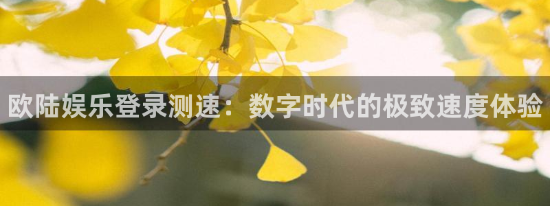 摩根娱乐.ccmpc29官网版下载：欧陆娱乐登录测速：数字时代的极致速度体验