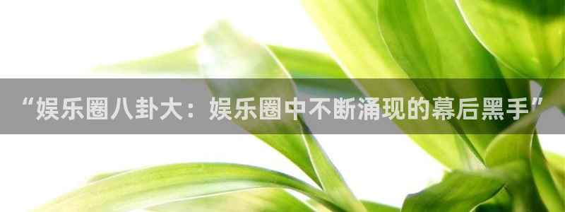 摩根娱乐电子游戏：“娱乐圈八卦大：娱乐圈中不断涌现的幕后黑手”