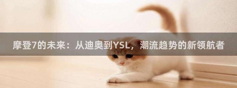 摩根娱乐平台在线开户：摩登7的未来：从迪奥到YSL，潮流趋势的新领航者