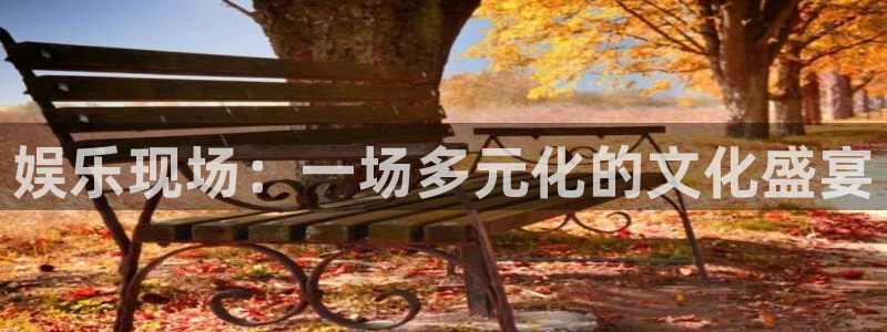 摩根娱乐平台注册账号：娱乐现场：一场多元化的文化盛宴