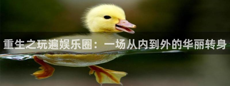 摩根娱乐哪个游戏好爆：重生之玩遍娱乐圈：一场从内到外的华丽转身