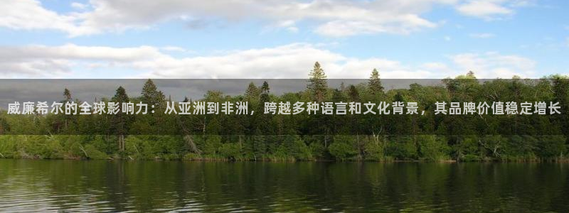摩根娱乐网站平台：威廉希尔的全球影响力：从亚洲到非洲，跨越多种语言和文化背景，其品牌价值稳定增长