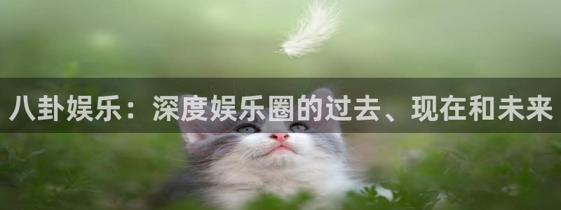 南宫摩根娱乐官网下载链接：八卦娱乐：深度娱乐圈的过去、现在和未来