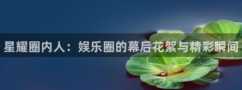 摩根娱乐是什么平台：星耀圈内人：娱乐圈的幕后花絮与精彩瞬间
