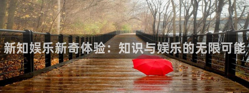 摩根娱乐平台开户：新知娱乐新奇体验：知识与娱乐的无限可能