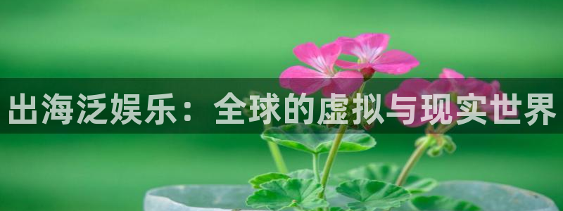 摩根娱乐股份：出海泛娱乐：全球的虚拟与现实世界
