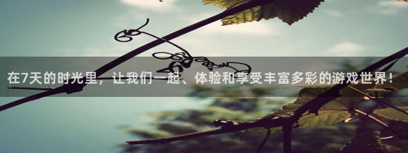 摩根娱乐集团总部：在7天的时光里，让我们一起、体验和享受丰富多彩的游戏世界！
