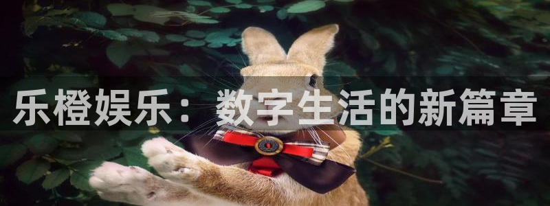摩根娱乐免费注册：乐橙娱乐：数字生活的新篇章