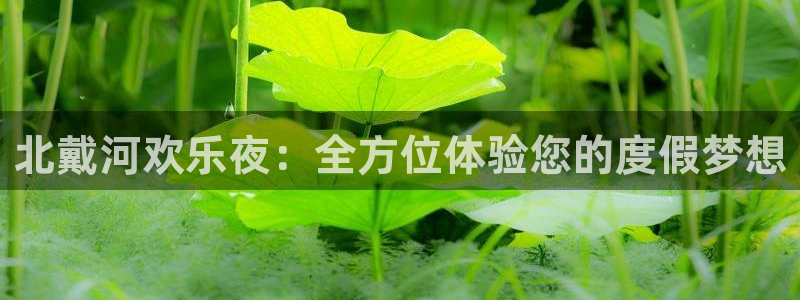 摩根娱乐5注册：北戴河欢乐夜：全方位体验您的度假梦想