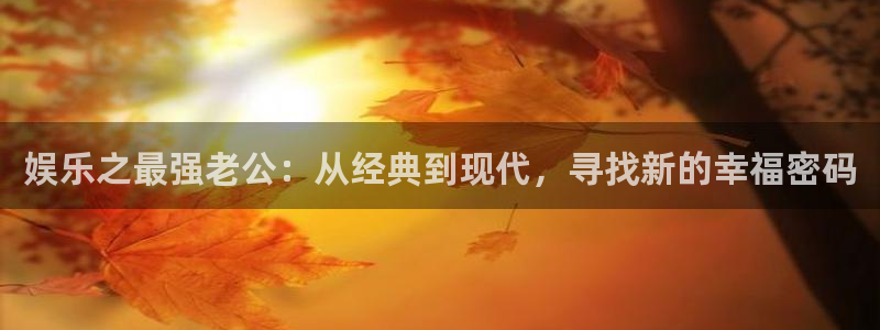 佛山市南海摩根娱乐机电仪器有限公司：娱乐之最强老公：从经典到现代，寻找新的幸福密码