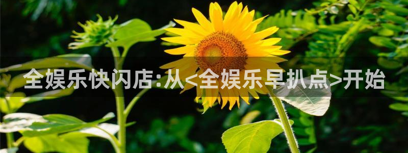 摩根娱乐可靠吗：全娱乐快闪店:从<全娱乐早扒点>开始