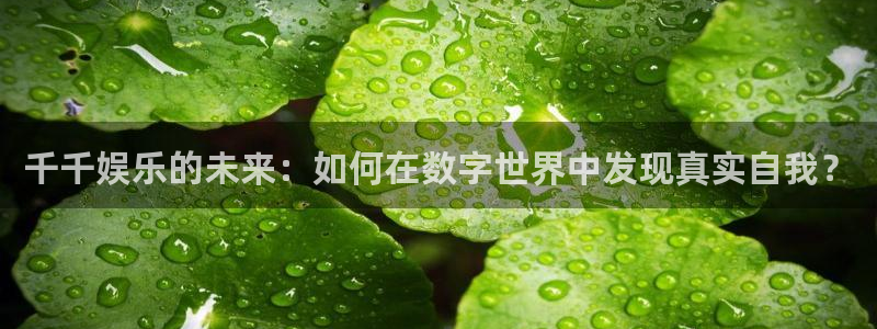 摩根娱乐赏金女王