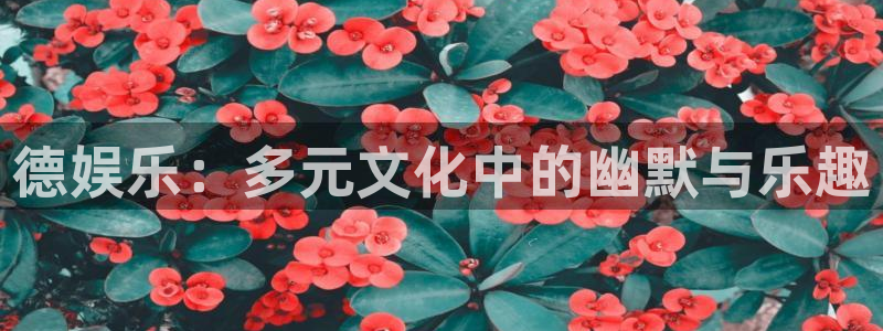 摩根娱乐3官网：德娱乐：多元文化中的幽默与乐趣