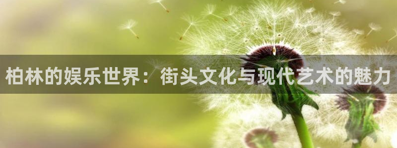 摩根娱乐体育老板是谁：柏林的娱乐世界：街头文化与现代艺术的魅力