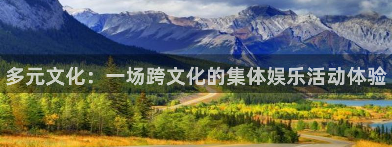 上海摩根娱乐汽车电子有限公司：多元文化：一场跨文化的集体娱乐活动体验
