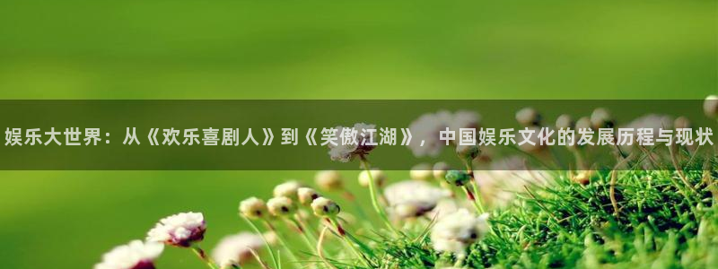 摩根娱乐平台：娱乐大世界：从《欢乐喜剧人》到《笑傲江湖》，中国娱乐文化的发展历程与现状