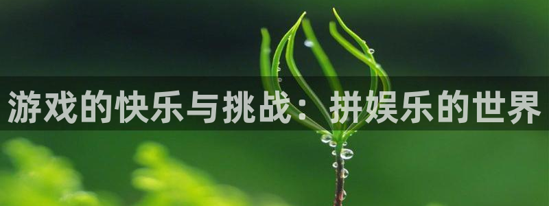 摩根娱乐体育app下载：游戏的快乐与挑战：拼娱乐的世界