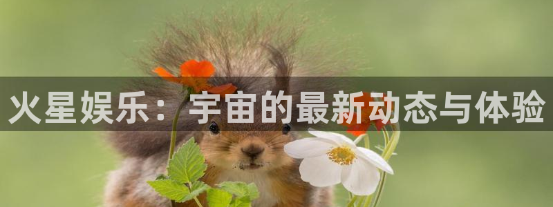 摩根娱乐2登录地址：火星娱乐：宇宙的最新动态与体验