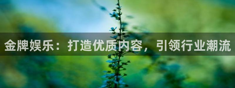 摩根娱乐体育凯捷登陆：金牌娱乐：打造优质内容，引领行业潮流